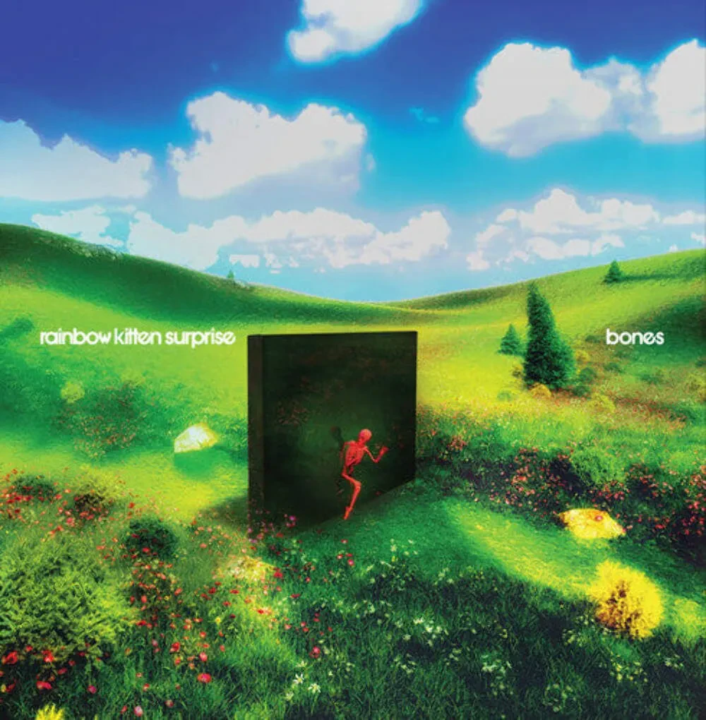 Rainbow Kitten Surprise - Bones [Indie-Exclusive Banana Colored Vinyl]