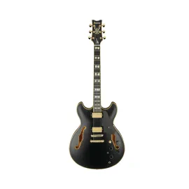 Ibanez John Scofield Signature 6-String Electric Guitar (Black Low Gloss)