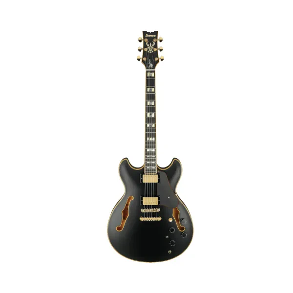 Ibanez John Scofield Signature 6-String Electric Guitar (Black Low Gloss)
