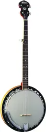 Банджо Washburn Americana B9 Sunburst