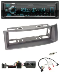 Kenwood Bluetooth Lenkrad DAB USB Autoradio für Renault Megane Scenic 96-00 anth