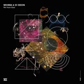 Виниловая пластинка Wehbba & DJ Deeon - We Have Bass [New 12" Vinyl]