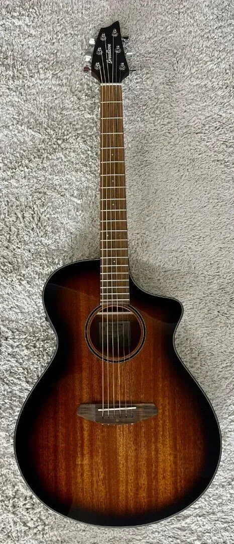 Электроакустическая гитара Breedlove ECO Discovery S CE Edgeburst