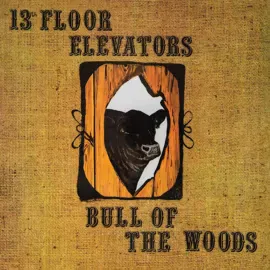 Виниловая пластинка 13th Floor Elevators – Bull Of The Woods (Релиз 1969)