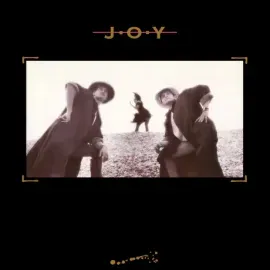 Виниловая пластинка JOY – Joy