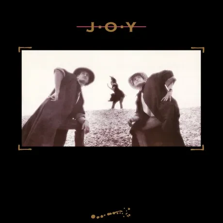 Виниловая пластинка JOY – Joy