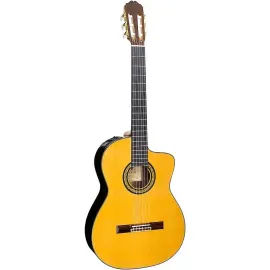 Классическая гитара с подключением Takamine TH5C Hirade Classical Natural