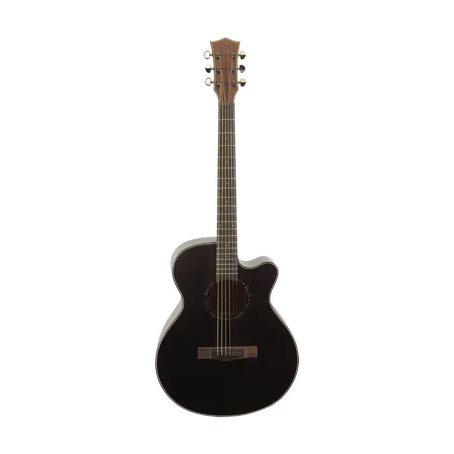 Акустическая гитара SQOE SQ-EC-FGS Walnut