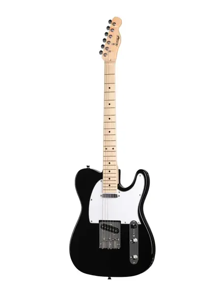 Электрогитара Homage HEG350 Telecaster SS Black