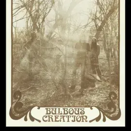 Виниловая пластинка Bulbous Creation - You Won't Remember Dying - RED [New Vinyl LP] Colored Vinyl,