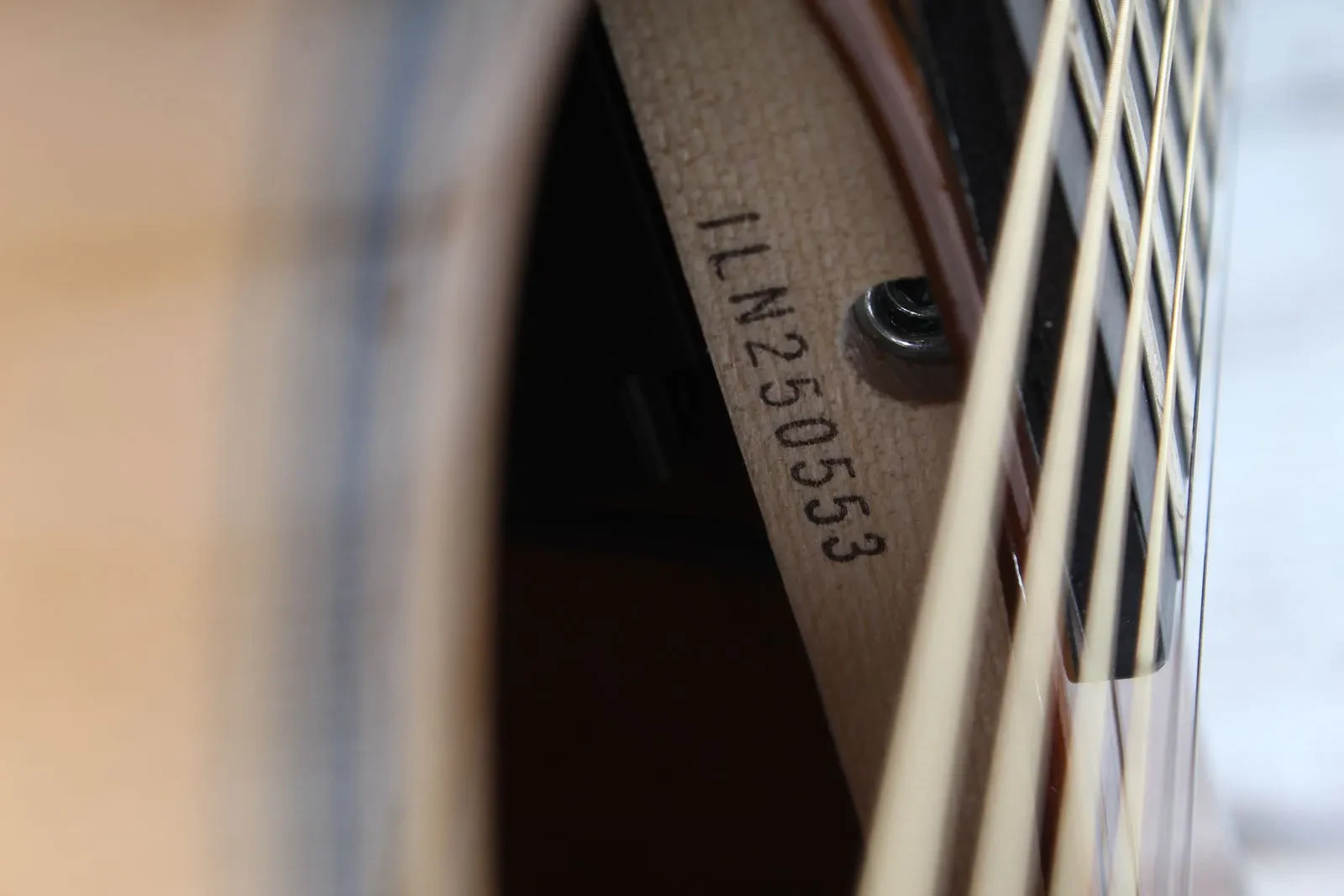 Изображение №6