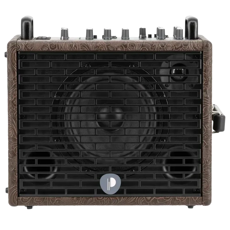 PROTRAVELER6 Комбоусилитель с чехлом, 120Вт, Prodipe