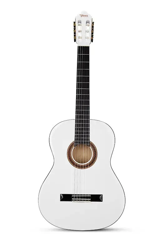 Классическая гитара Valencia VC104WT