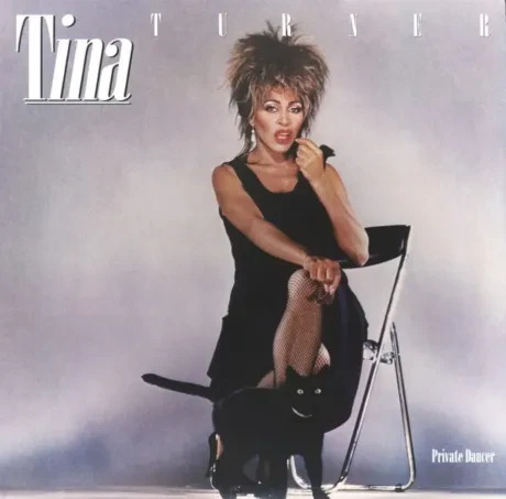 Виниловая пластинка Tina Turner – Private Dancer (Релиз 2015)