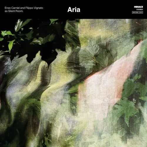 Виниловая пластинка Enzo Carniel - Aria [New Vinyl LP]
