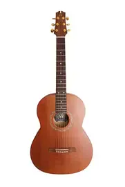 Электроакустическая гитара NewTone N17GASDBCE