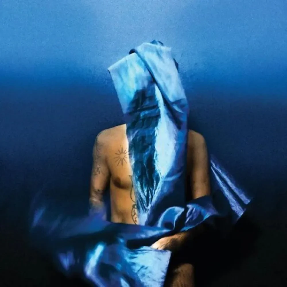Виниловая пластинка Devendra Banhart – Flying Wig (Релиз 2023) Sealed