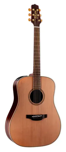 Электроакустическая гитара Takamine FN15 AR Limited Amazon Rosewood Acoustic-Electric Guitar w/ Case