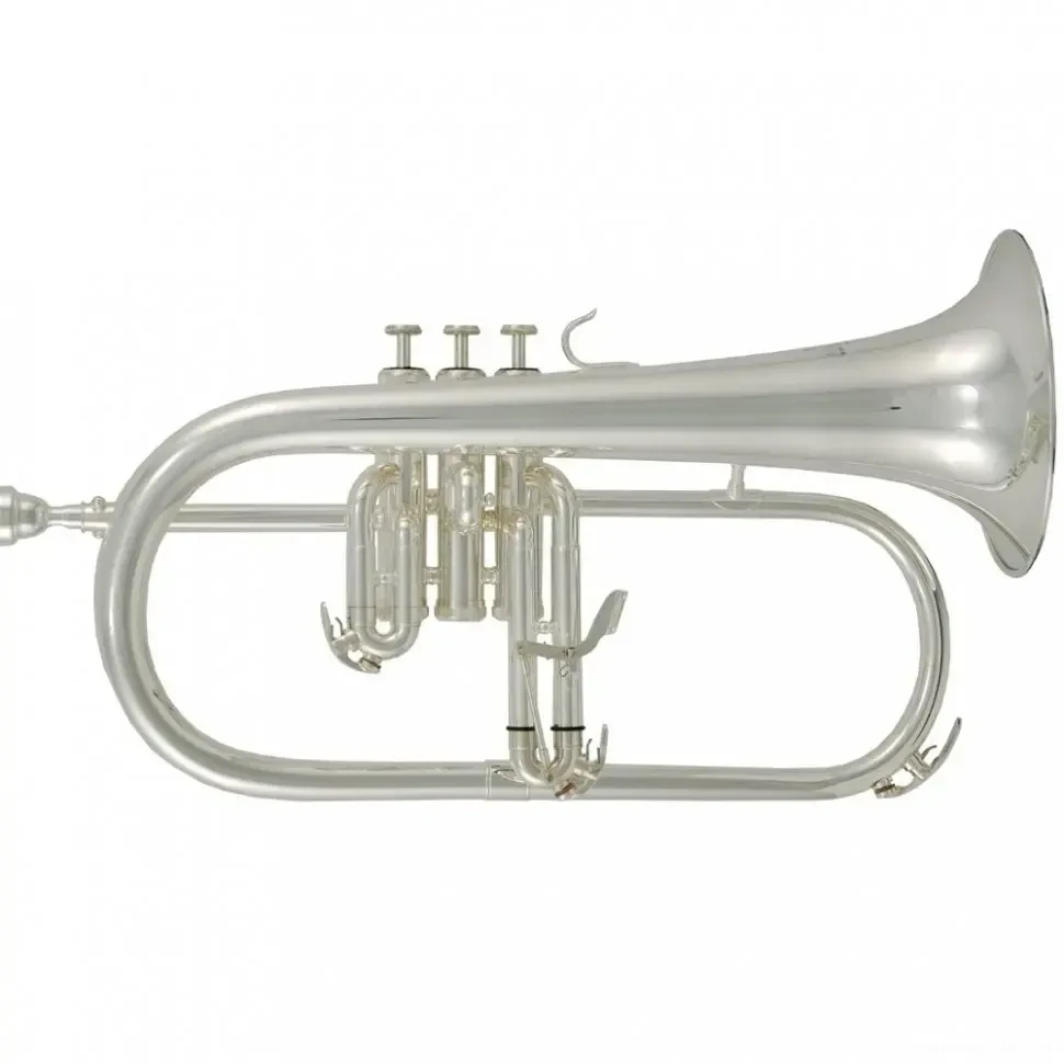 Флюгельгорн Roy Benson FH-302S Bb Silver