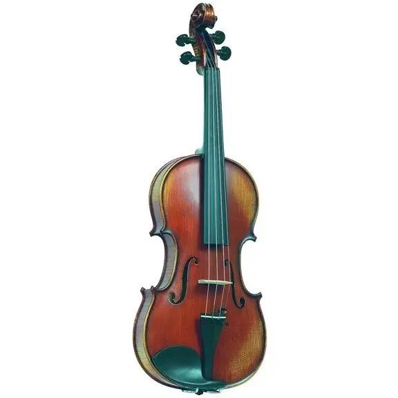 PG-V044-A Professional Gama Genova Скрипка 4/4, Gliga