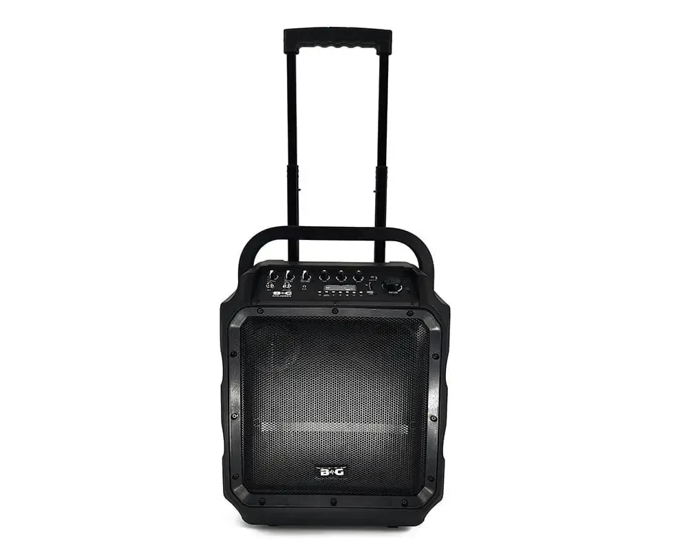 Портативная акустическая система BG KPA-08WEN