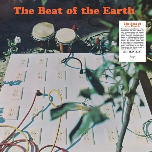 Виниловая пластинка Beat of the Earth - The Beat Of The Earth [New Vinyl LP]