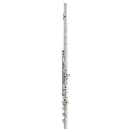 Haynes Amadeus AF780 Sterling Silver Flute