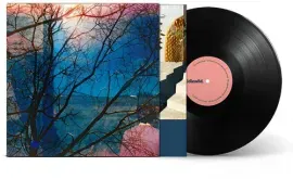 Виниловая пластинка Idlewild - Idlewild [New Vinyl LP]