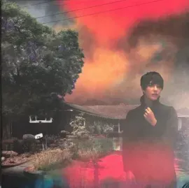 Виниловая пластинка Sharon Van Etten – We've Been Going About This All Wrong