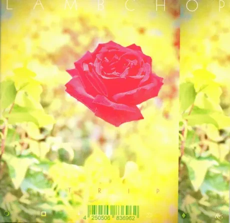 LAMBCHOP - Trip (CD)