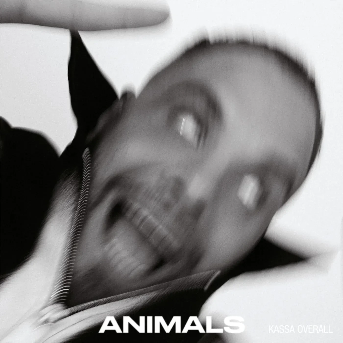 Виниловая пластинка Kassa Overall – Animals 2023 Sealed