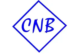 CNB CB380 1/2 Чехол для классической гитары 1/2