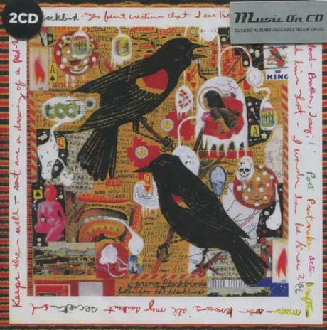 STEVE EARLE - Just An American Boy (2CD)