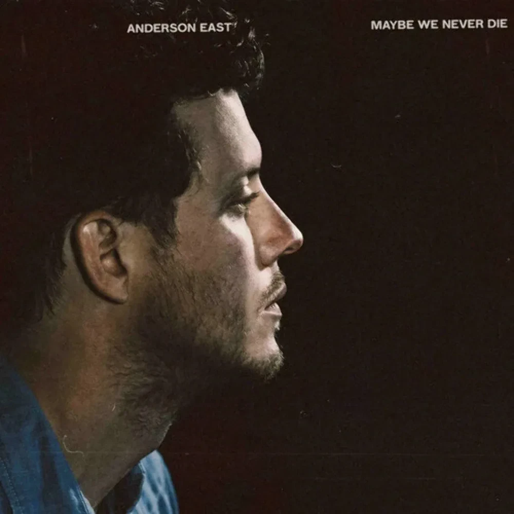 Виниловая пластинка Anderson East – Maybe We Never Die (Релиз 2021) Sealed