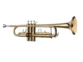 Труба Bb Conductor FLT-TR-3