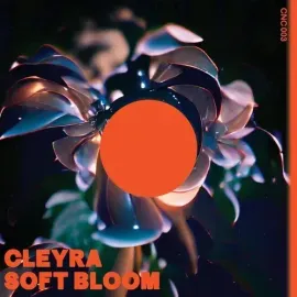 Виниловая пластинка Cleyra – Soft Bloom (Релиз 2022)