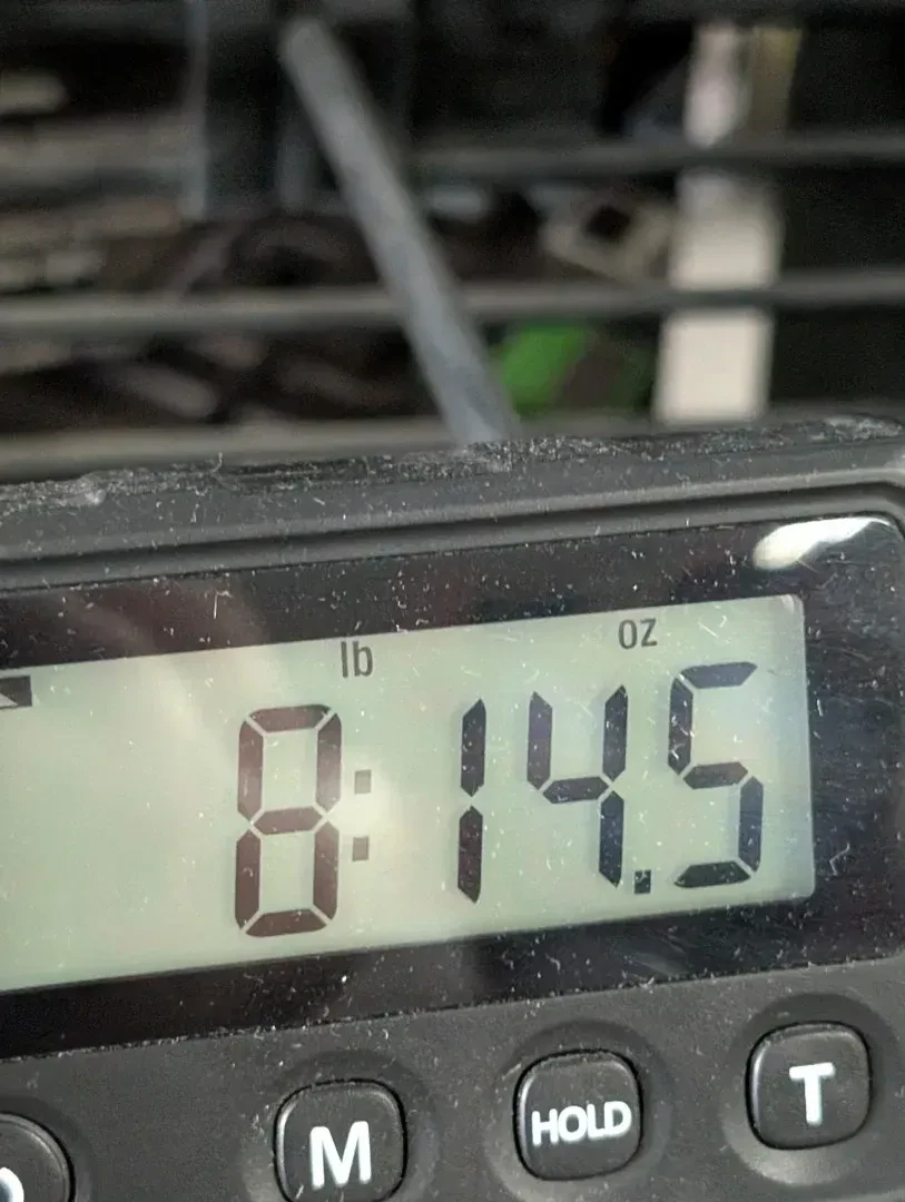 Изображение №9