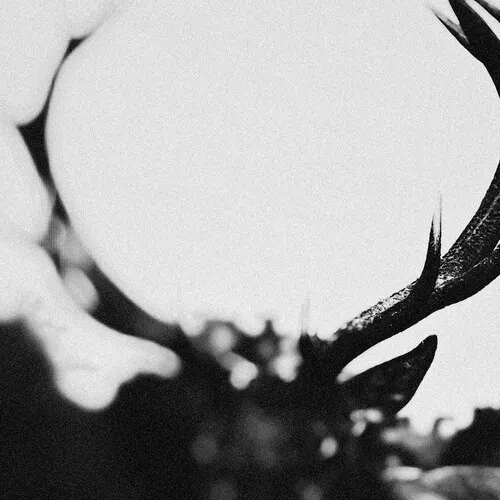 Виниловая пластинка Ihsahn - IHSAHN (Orchestral Version) Clear w/ Black Smoke Marble [New Vinyl LP]