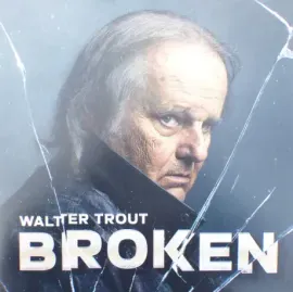 Виниловая пластинка Walter Trout – Broken