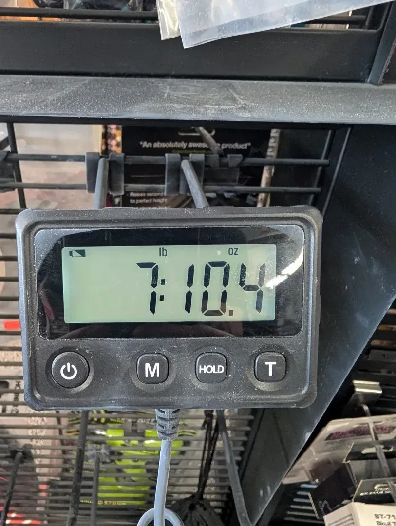 Изображение №7