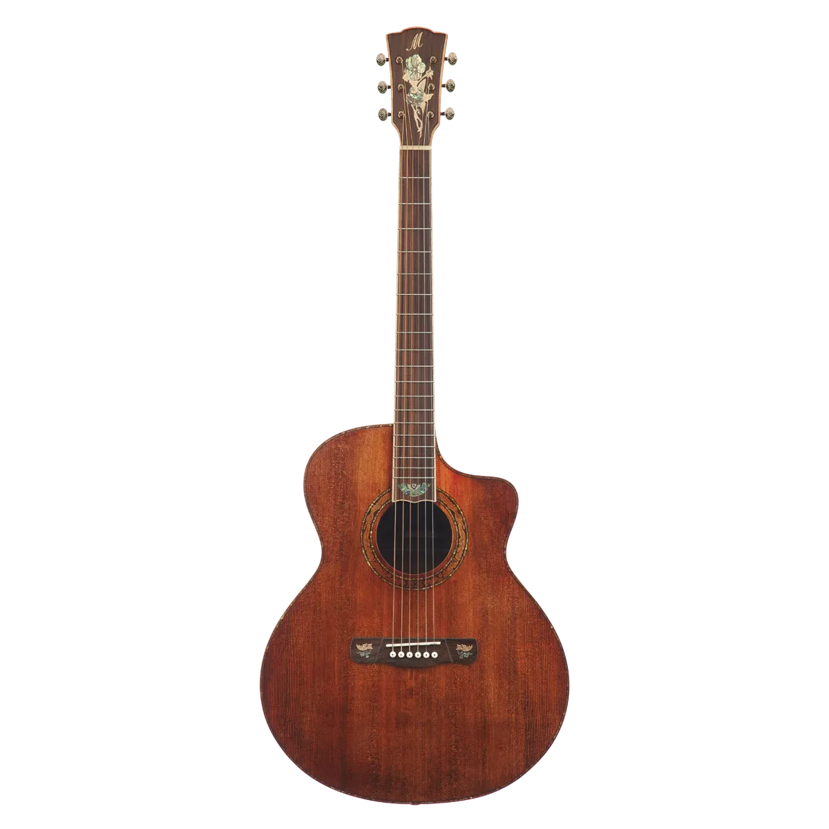 Meridaextrema DG20KOALCT