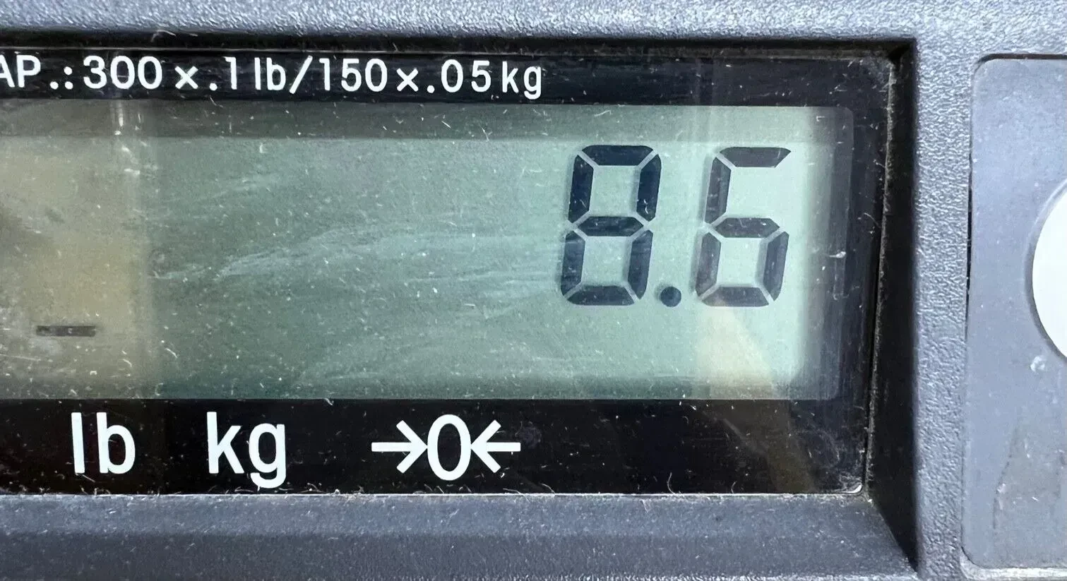 Изображение №2