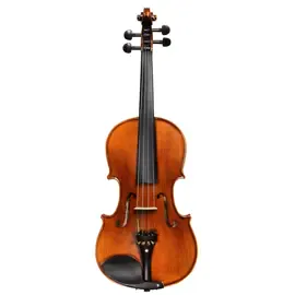 Скрипка ANDREW FUCHS L-3 4/4 с чехлом