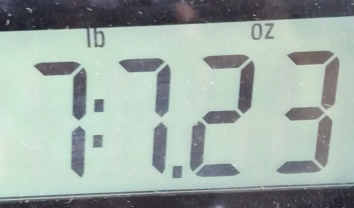 Изображение №9