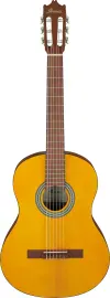 IBANEZ GA3-OAM