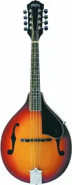 Washburn M1S A-Style Bluesgrass Series Mandolin - Tobacco Sunburst