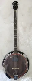 Dean Backwoods Model BW2E 5 string Electric Banjo with Mahogany Resonator