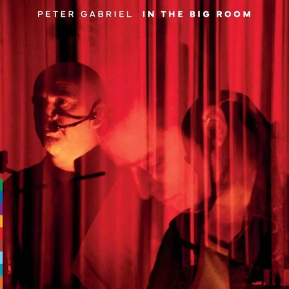 Peter Gabriel - In The Big Room NEW Vinyl LP