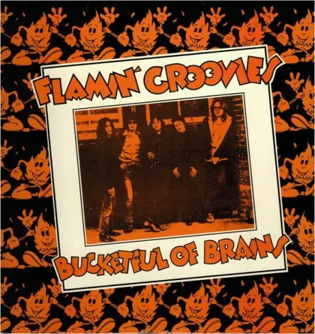 FLAMIN GROOVIES - Bucketful Of Brains (LP , Used)