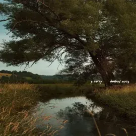 Виниловая пластинка S Carey - Hundred Acres [New Vinyl LP]